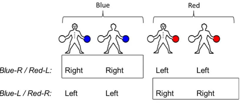Fig. 1. Illustration of the relations between stimuli (blue vs. red; front vs. back), and 