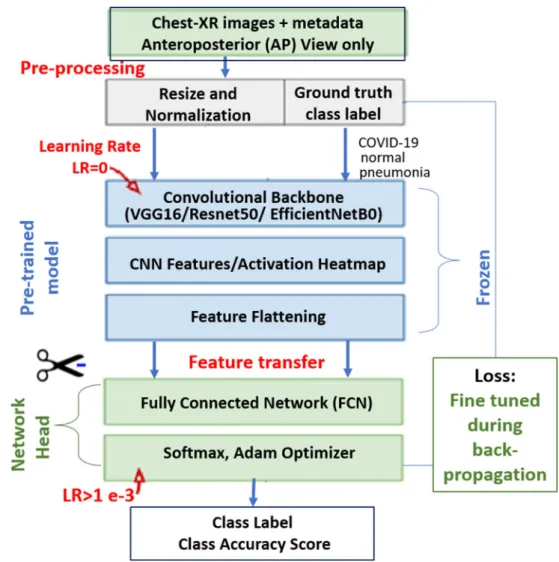 Fig. 3 Transfer learning architecture with pre-trained convolutional backbone for COVID-19 chest X-ray classification