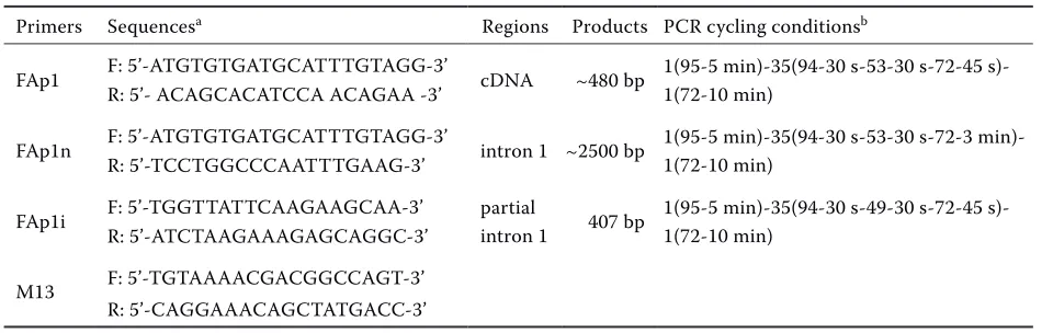 Table 1. The primer sequences and amplification conditions 