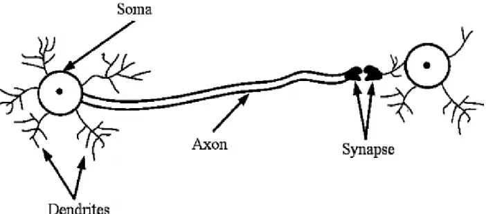 Figure 1 Neural Network 