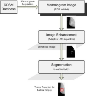 Figure 1 given below illustrates the two approaches use in our proposed system. In this research, we proposed a  modified LMS algorithm with image feature vector for mammogram enhancement