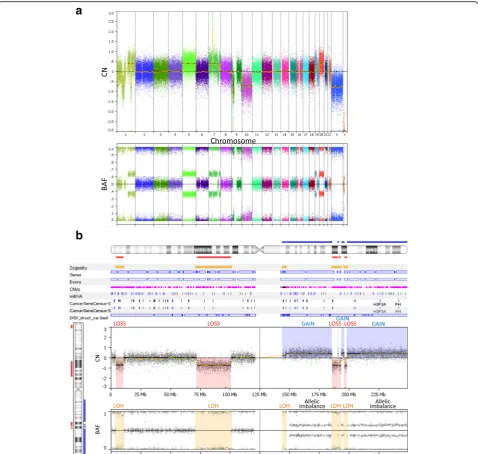 Fig. 3 Analysis Presentation by the Nexus Express OncoScan Software a The Nexus Express software presents Copy Number (CN) (top panel) and BAF(bottom panel) on all chromosomes of a single patient