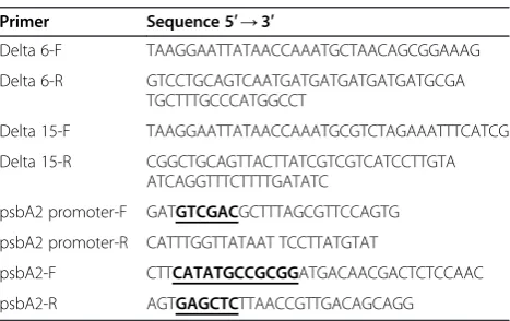 Table 2 Primers used for PCRa