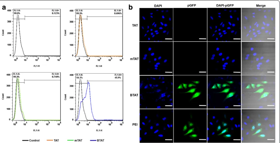 Fig. 5 Transfection efficiency of pGFP complex in HeLa cells. a Quantification of the transfection efficiency using flow cytometry (b) Confocallaser scanning microscopy images of the expression of the green fluorescence protein