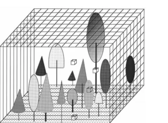 Figure 3.1: 3-D model of a forest stand from Sun and Ranson (2000). The properties of each cellare speciﬁed by the canopy parameters