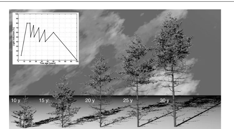 Figure 3.2: Morsdorf et al. (2009) Figure 2: Sample Pinus sylvestris trees from TREEGROW