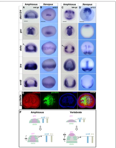 Fig. 2 (See legend on next page.)