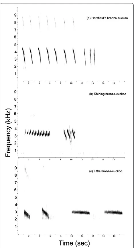 Figure 2 Spectrograms of the songs of the three species ofcuckoos used in the playback experiments to test hostresponse