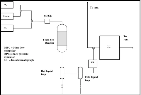 Fig. 1. Schematic diagram of catalyst evaluation setup. 