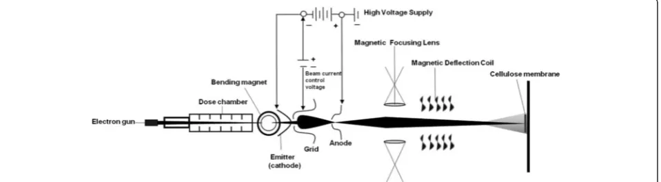 Fig. 4 Schematic drawing of E-beam irradiation of CM, showing the basic linear accelerator including the electron gun, cathodic emitter, grid,anode, magnetic focusing lens and magnetic deflection coil