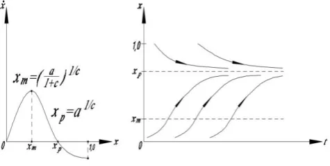 Fig. 1. Phase portrait 