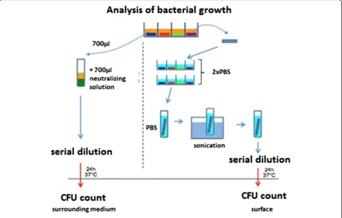 Fig. 2 Analysis of bacterial growth (CFU: colony-forming units)
