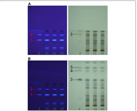 Figure 1 TLC chromatograms of mixed standards and methanol extracts ofphase of chloroform-methanol (9-1, v/v) was for the first development, and petroleum ether-ethyl acetate (10-1, v/v) was for the seconddevelopment
