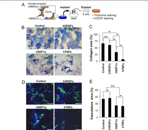 Fig. 4 Analysis of growth-arrested engineered stromal cell type dependent tissue microenvironments