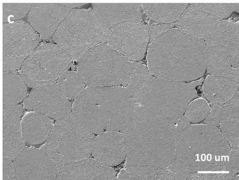 Fig. 5(d). SEM micrographs of the Ni-50%Fe alloy showing the microstructural evolution at the core of the HSPS 60mm sample