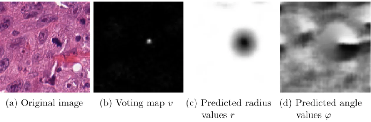 Figure 7.2: Example region of an original image with corresponding voting result and predictions of the radius and angle.