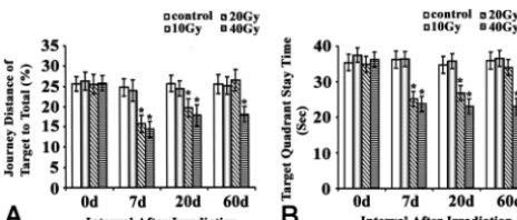 Fig 3. Effects of brain irradiation on brain water content and BBB permeability.content of brain, determined by the method of dry and wet weight
