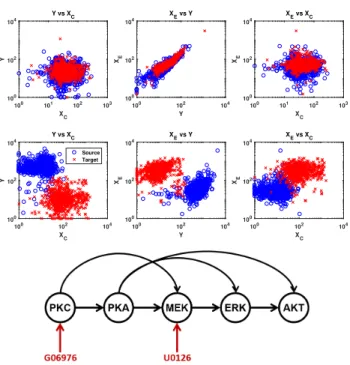 Figure 4: Protein count data sets for MEK− →ERK− →AKT (D 1 , top) and PKC− → PKA− →AKT (D 2 , middle) in log-log scale