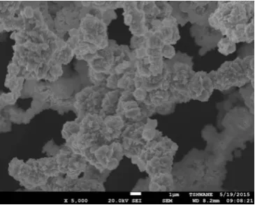 Figure 1: Scanning electron micrograph showing the morphology of nickel (Ni) powder.  