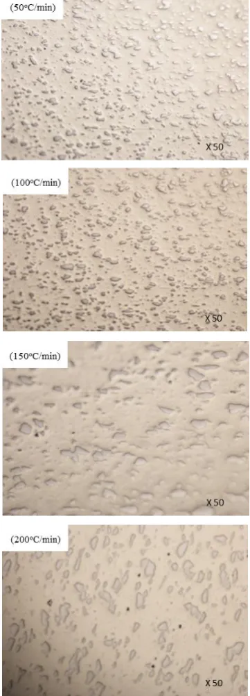 Figure 8: Microhardness indentation micrographs of the polished SPS sample densified with a sintering temperature of 1000 °C, a pressure of 50 MPa and heat rates of: 50, 100, 150 and 200  °C/min