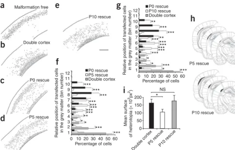 Figure 5 Crucial developmental period for regressing malformation. (a–e) Representative reconstructed neocortical sections showing the laminar position of neurons at P20 after induction of eGFP (a,b) or DCX-eGFP expression at P0 (a–c), P5 (d) and P10 (e)