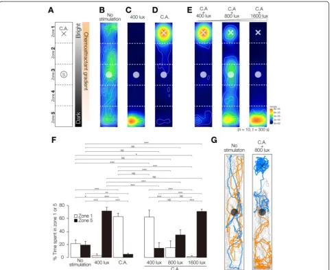 Figure 7 Integration assay in planarian. (A) Schematic illustration of the assay method used to investigate the integration of external stimuli isshown