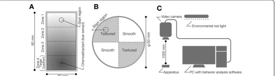 Figure 1 Schematic drawings of the assay system for chemotaxis and thigmotaxis/kinesis