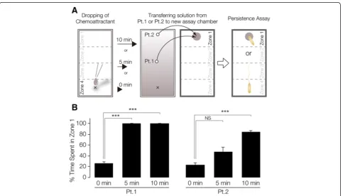 Figure 2 Persistence assay for assessing the formation of a chemoattractant concentration gradient