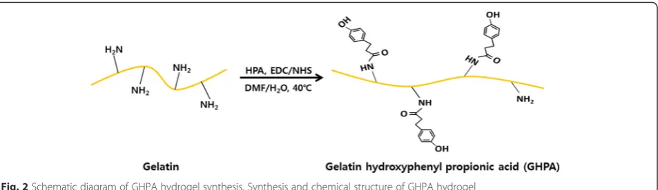 Fig. 2 Schematic diagram of GHPA hydrogel synthesis. Synthesis and chemical structure of GHPA hydrogel