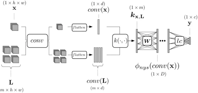 Fig. 1: The architecture we propose involves a usual convolutional part, conv , including multiple convolutional blocks, and a Nyström layer which is then fed to (eventually multiple) standard dense layers up to the classification layer