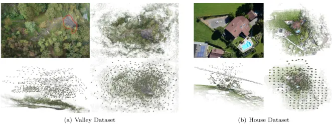 Figure 3: Valley and House Dataset. Top left: One image of the dataset shows an overview of the scene