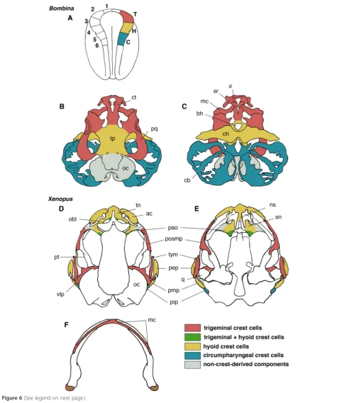 Figure 6 (See legend on next page.)