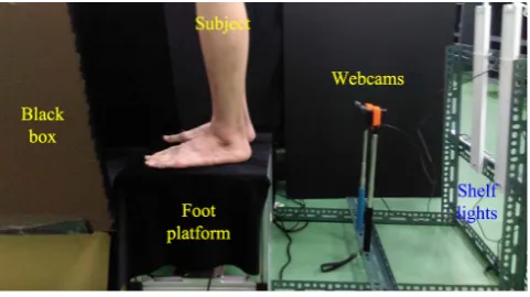 Fig. 2.  Eversionable foot platforms design. 