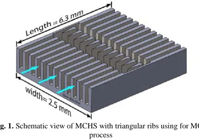 Fig. 1.  Schematic view of MCHS with triangular ribs using for MOO process 