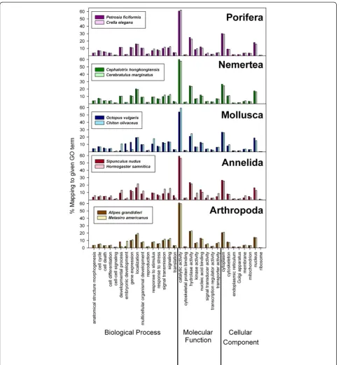 Figure 5 Paired comparison per phylum of the percentages of sequences mapped to given gene ontology (GO) terms.