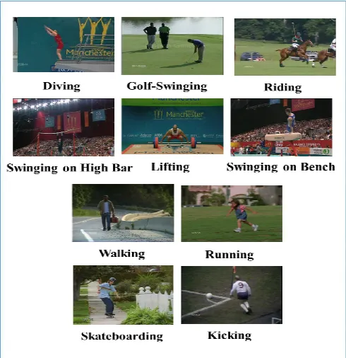 Fig. 6.  Changing the size of the original image for CNN. 