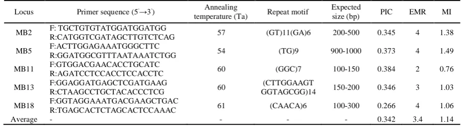 Table 2. SSR primer sequences used in this study (Bogale et al. 2005). 
