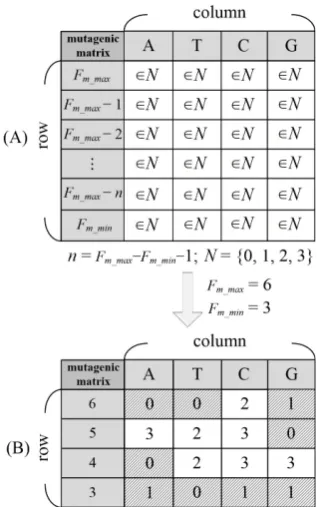 Fig. 1.  (A) Mutagenic matrix. (B) Instance for mutagenic matrix with F= 6 and m_maxFm_min = 3
