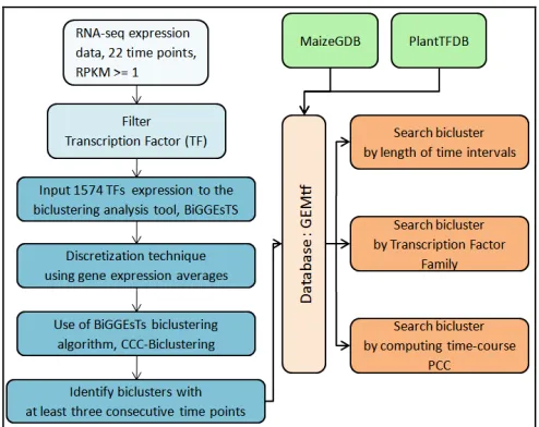 Figure 2. Workflow of the present study 
