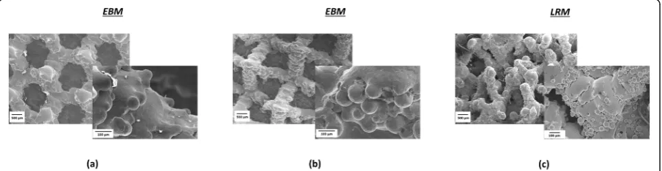 Fig. 6 Images showing cross-sections of the three cups (a) Delta TT, (b) Mpact 3D Metal and (c) Trident TT Tritanium