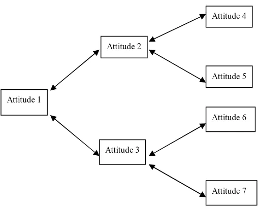 Figure 1: Articulation of attitudes in a network structure    