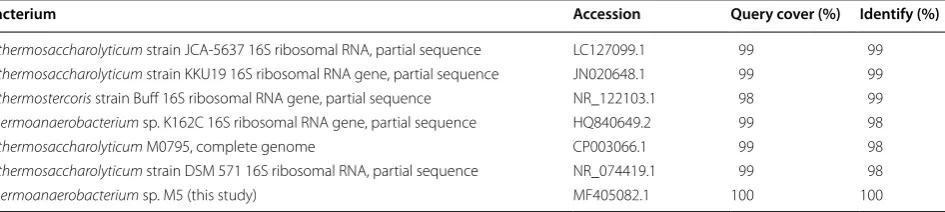 Table 1 Top matches of the 16S rDNA sequence of strain M5 against known bacterial sequences from the Genbank database (BLAST, NCBI)