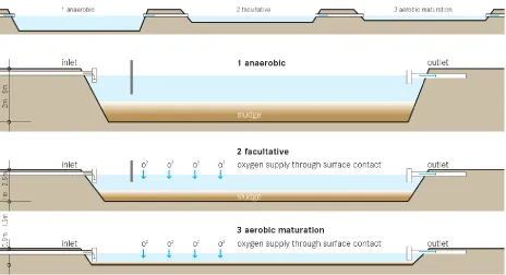 Figure 20. Typical scheme of a waste stabilization ponds: An anaerobic, facultative and maturation pond in series