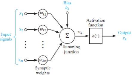 Figure 2.2: Scheme of a single neuron