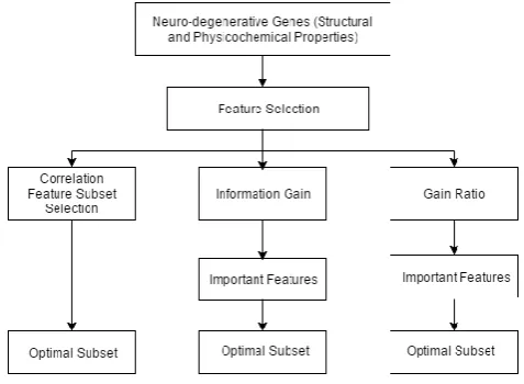 Fig. 1. Proposed Framework for Feature Selection  