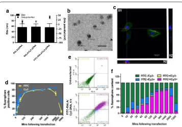 Fig. 1 RALA/pDNA nanoparticles are suitable for rapid uptake by PC3 prostate cancer cells