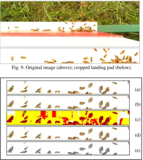 Fig. 9. Original image (above); cropped landing pad (below). 
