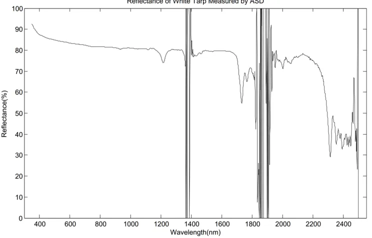 Figure 6.4: Measured reﬂectance of white uniform target