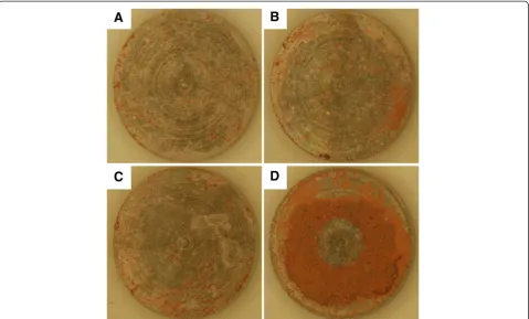 Figure 5 Effects of adsorbed apatite/20groups were subcutaneously implanted into rat muscle bed for 5 weeks, and then the deposited mineral on surfaces of samples were stainedα-HC coating on mineral deposition in rat model