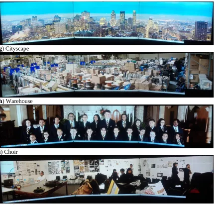 FIGURE 3.4 (CONTINUED):  The ten still image stimuli as they were presented on the prototype display.    